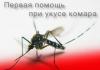 Sivrisinek olgusu: Sivrisinekler ısırıldıktan sonra ne kadar süre yaşayabilir?