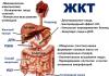 Барій не виходить із кишечника Проведення рентгена кишечника