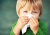 Actions de terrain : allergies aux graminées céréalières Allergies aux aliments qu’on ne peut pas manger